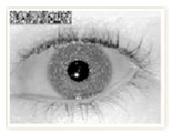 IrisCode ® Oluşturulması 